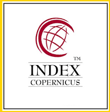 Index Copernicus International
(ICI)
